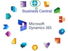 Business Central in Dynamics 365