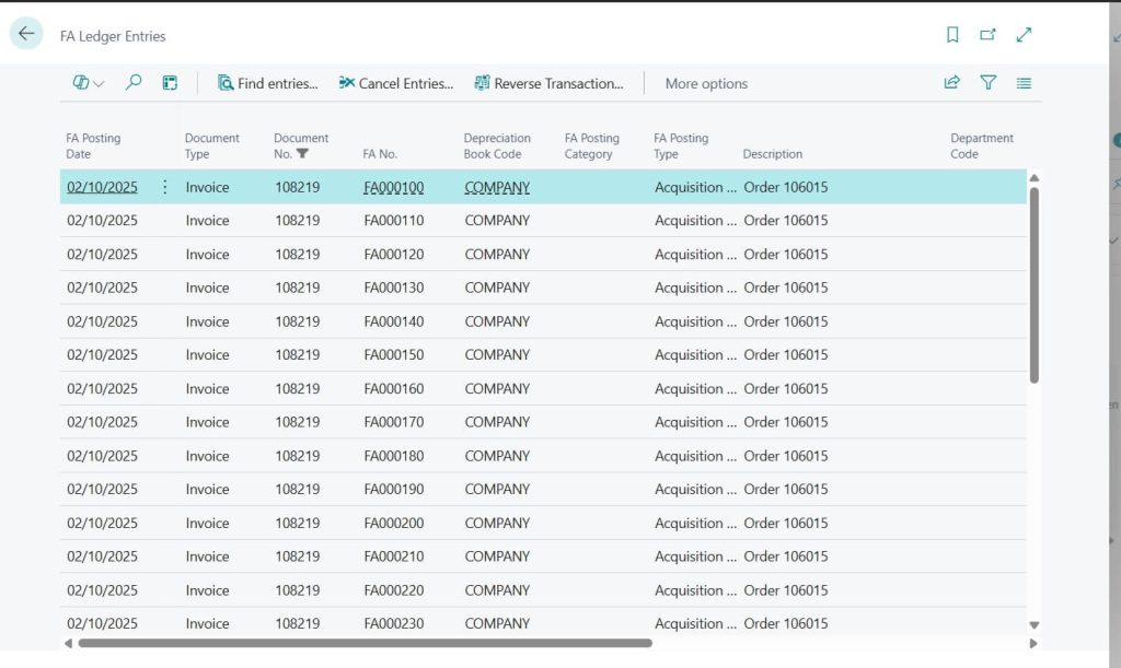 FA ledger Entries Sample after posting ledgers